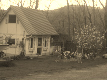 bluebird houses